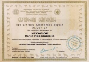 3-e1769775517602